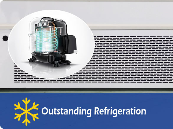 Outstanding Refrigeration | NW-PBG20B vegetable display fridge
